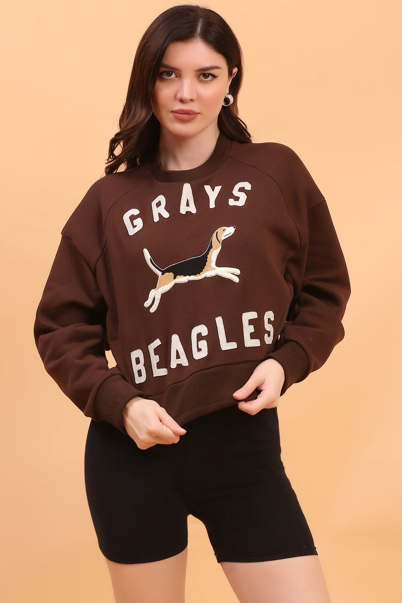 ASH BUDDY SWEATSHIRT BROWN