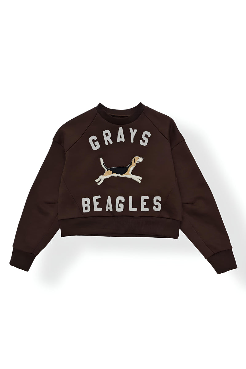 ASH BUDDY SWEATSHIRT BROWN